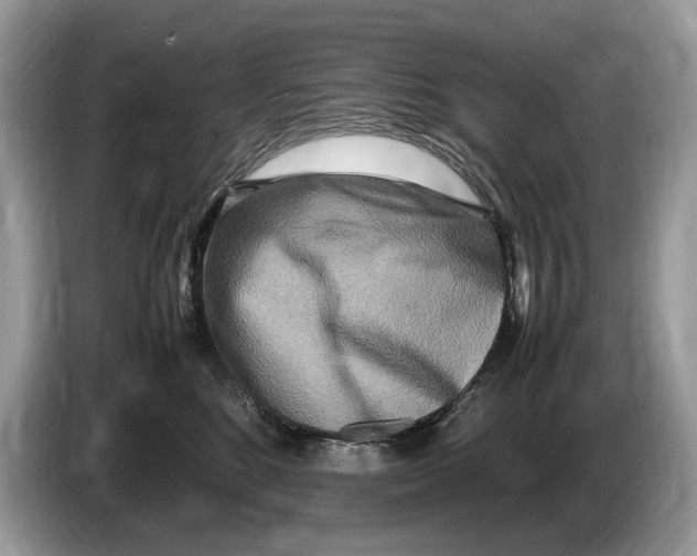 X0000086280520200704262039