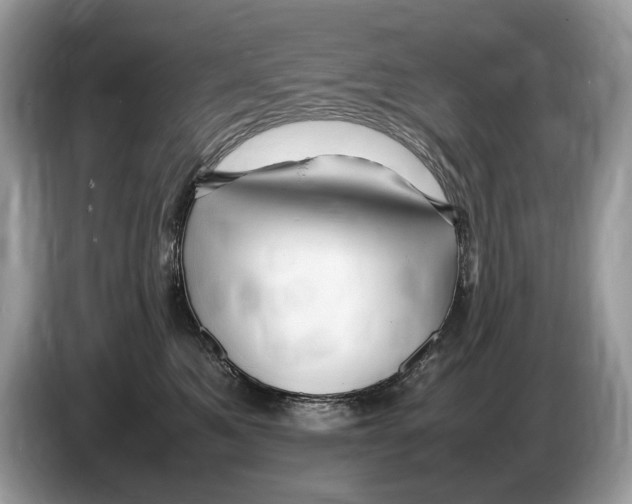 X0000086280521200704262039