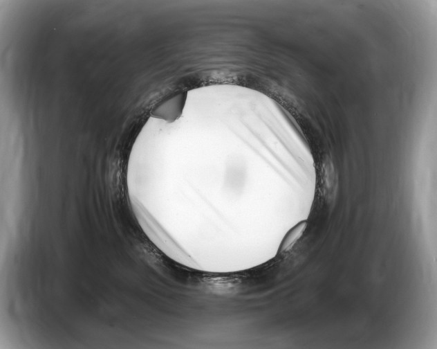 X0000086280522200704262039