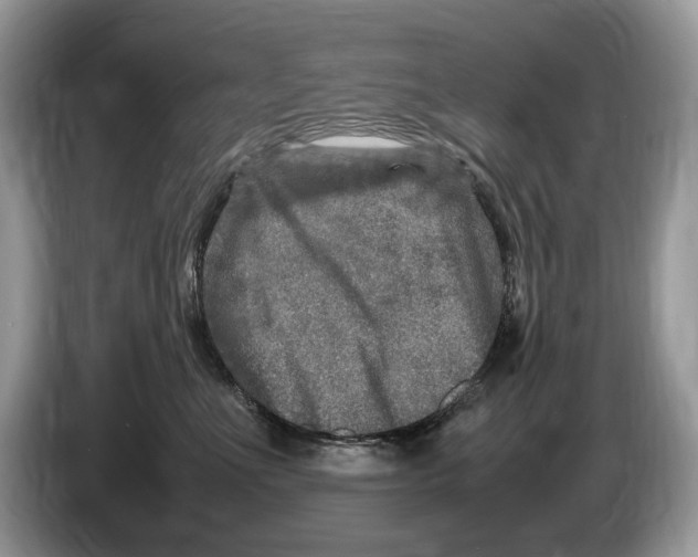 X0000086280523200704262039