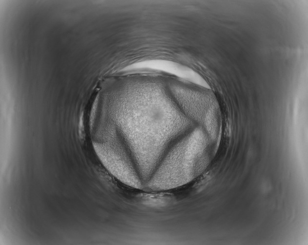 X0000086280524200704262039