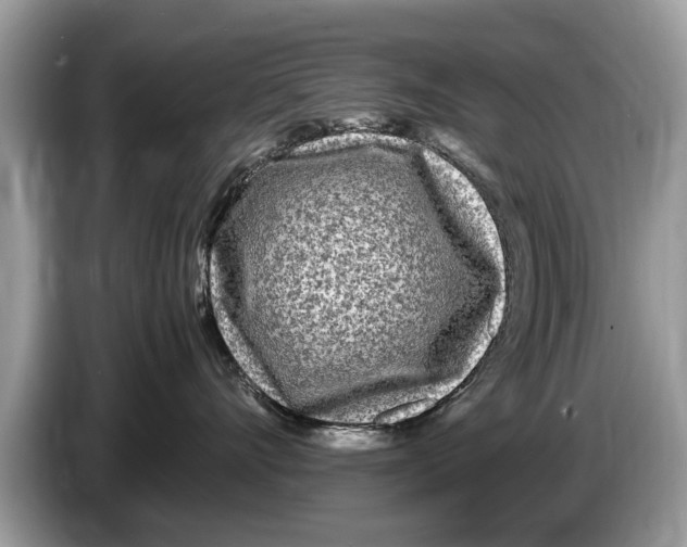 X0000086280528200704262039