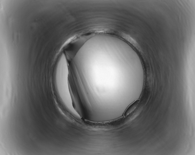 X0000086280530200704262038