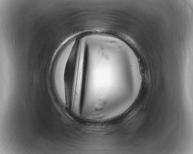 X0000086280532200704262038