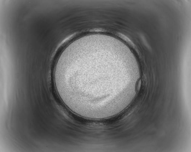 X0000086280535200704262038