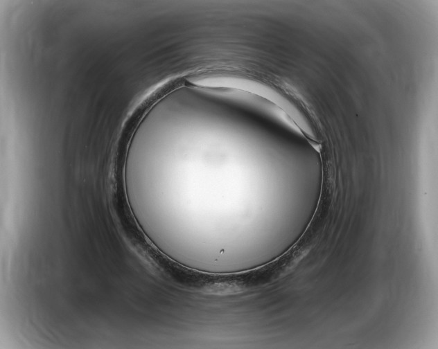 X0000086280536200704262038
