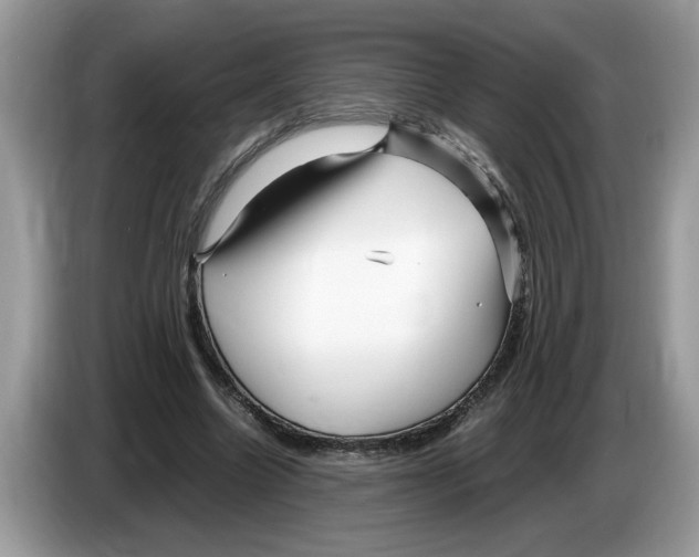 X0000086280538200704262038