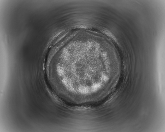 X0000086280542200704262038