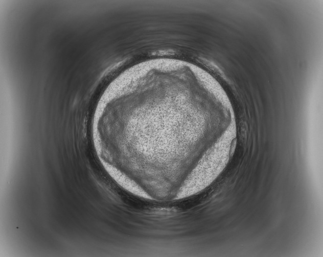 X0000086280543200704262038