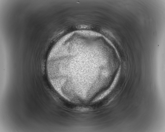 X0000086280545200704262038