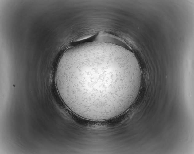 X0000086280546200704262038