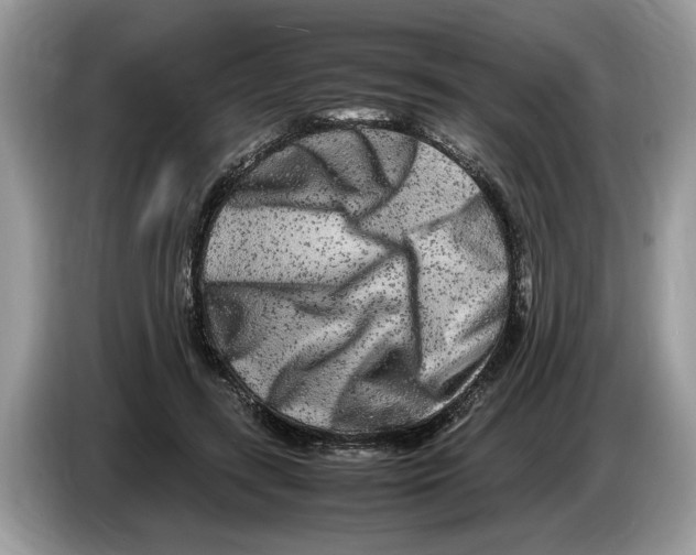 X0000086280547200704262038