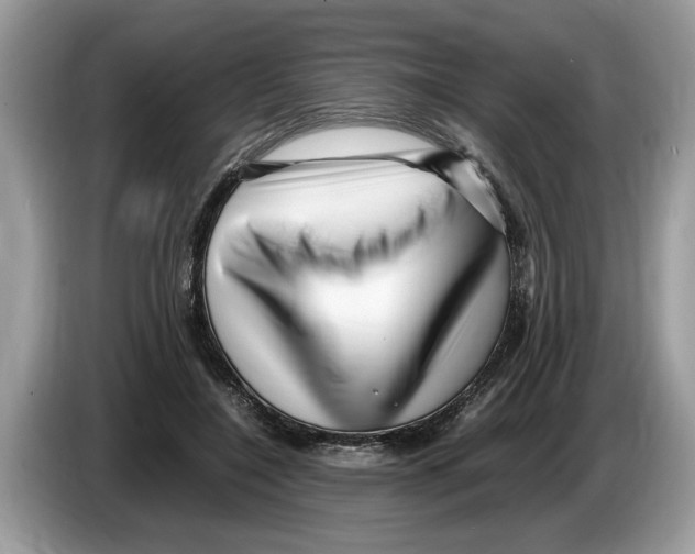 X0000086280548200704262038