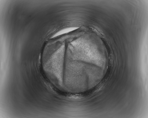 X0000086280550200704262038