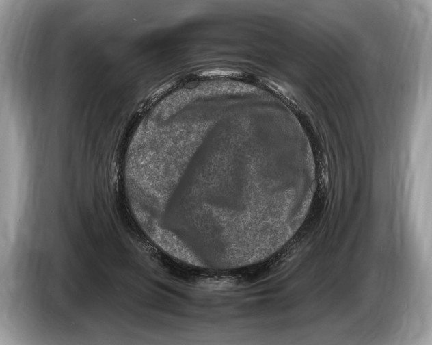 X0000086280551200704262038
