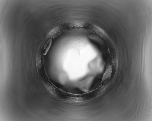X0000086280552200704262038