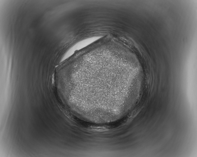 X0000086280553200704262038