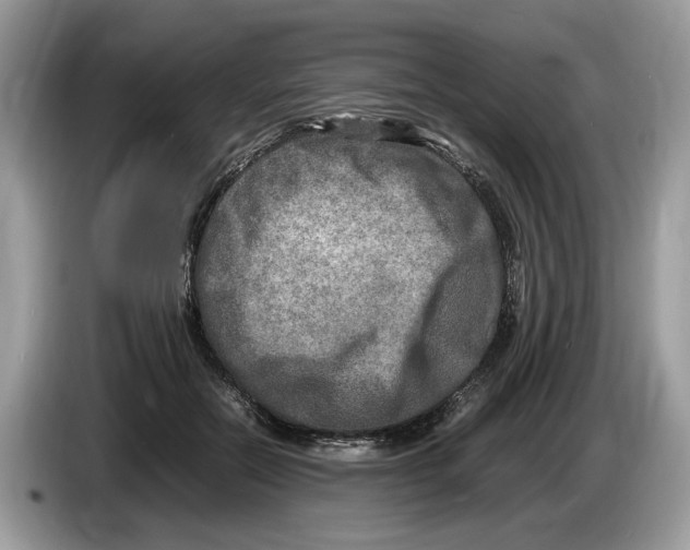 X0000086280554200704262038