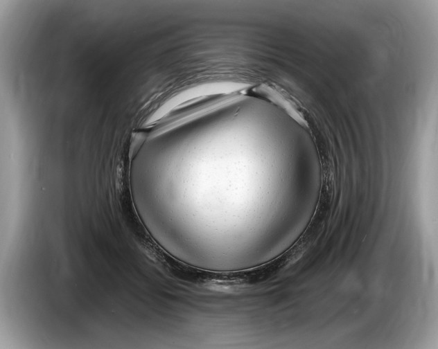 X0000086280556200704262038