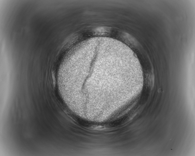 X0000086280557200704262038