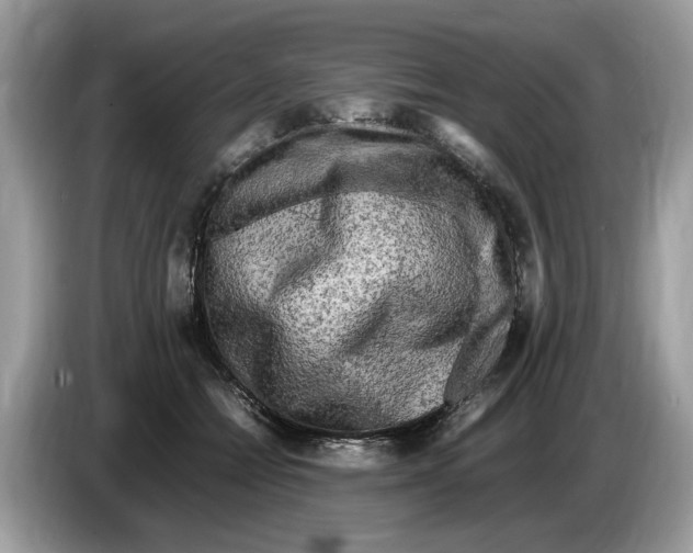 X0000086280558200704262038