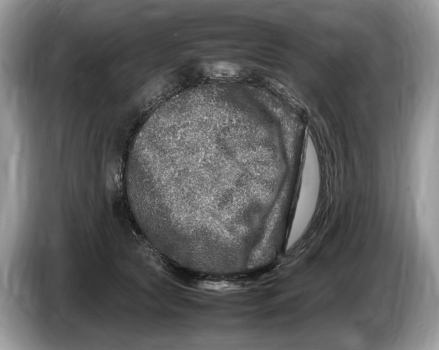 X0000086280561200704262038