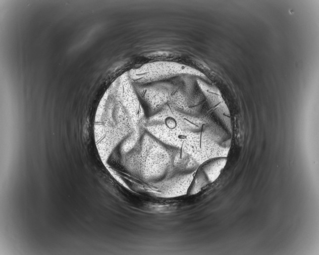 X0000086280563200704262038