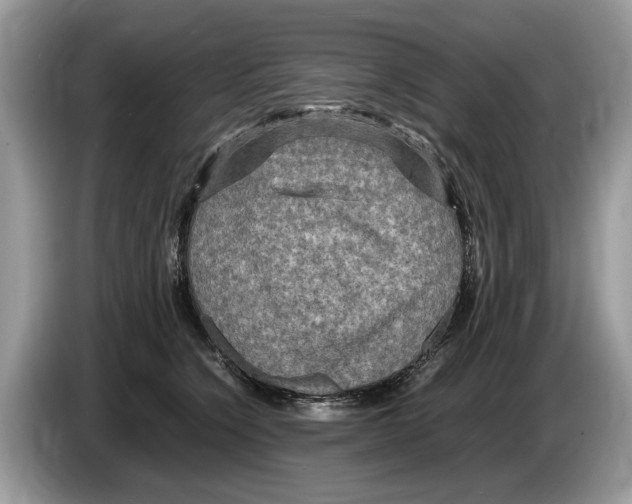 X0000086280564200704262038