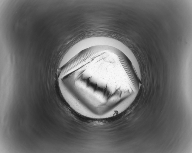 X0000086280566200704262038