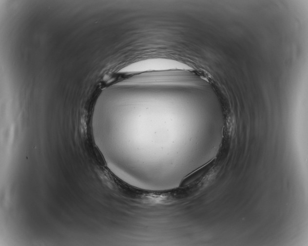 X0000086280570200704262038