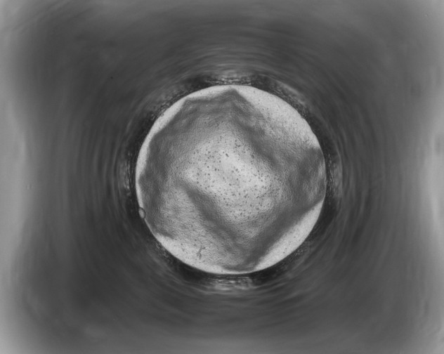 X0000086280571200704262038