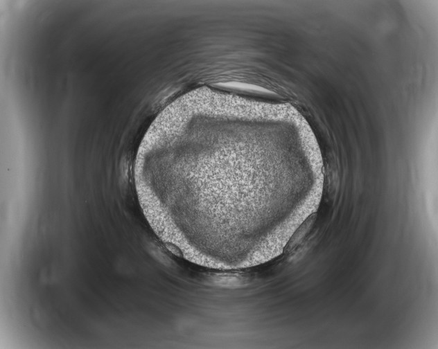 X0000086280574200704262038