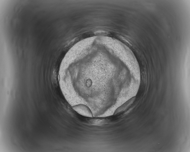 X0000086280575200704262038