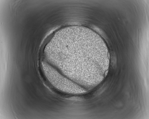 X0000086280578200704262038