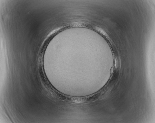X0000086280579200704262038
