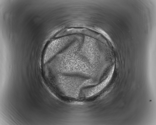X0000086280581200704262038