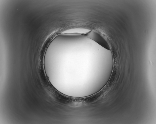 X0000086280587200704262038