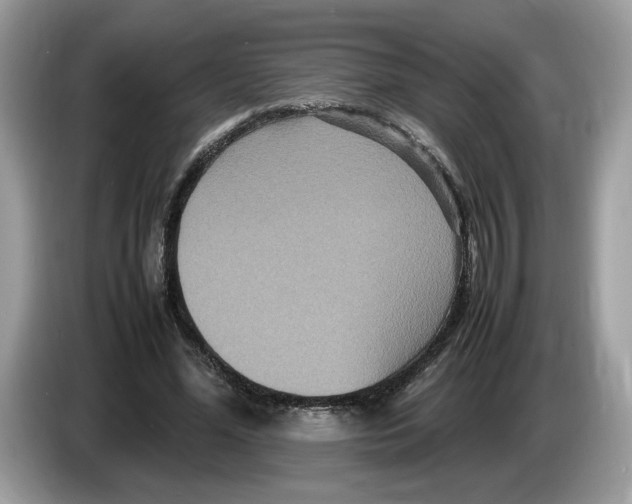 X0000086280588200704262038