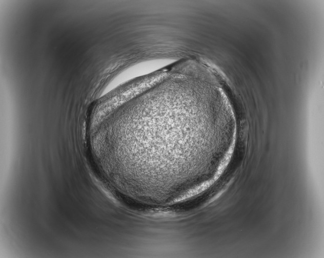 X0000086280589200704262038