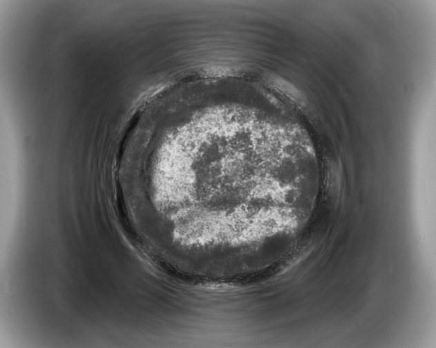 X0000086280590200704262038