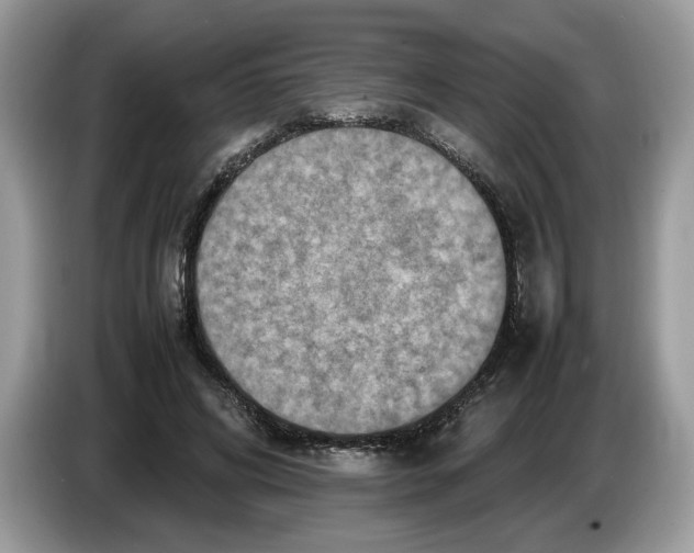 X0000086280592200704262038