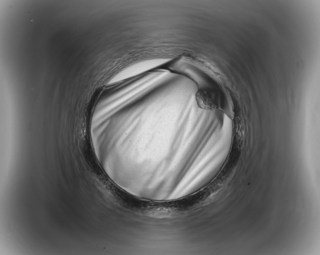 X0000086280593200704262038
