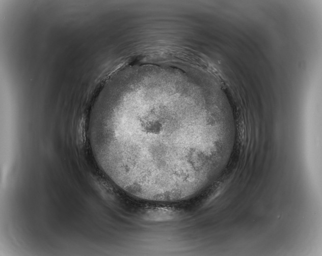 X0000086280594200704262038
