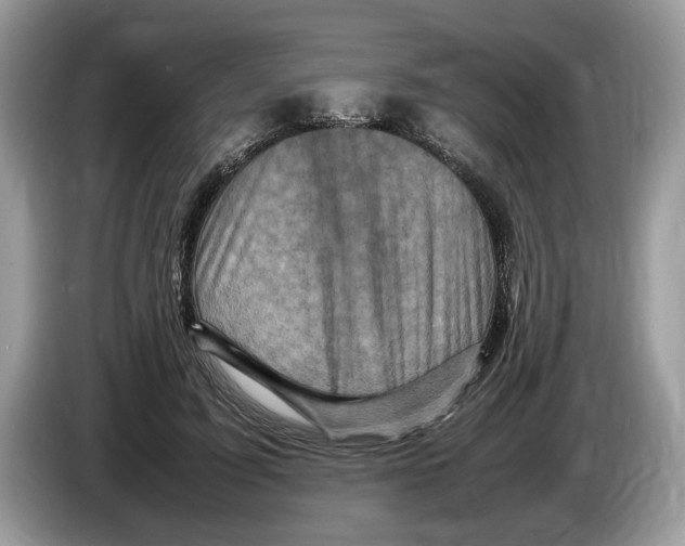 X0000086280595200704262038