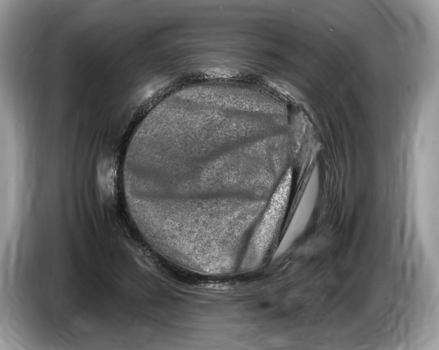 X0000086280596200704262038