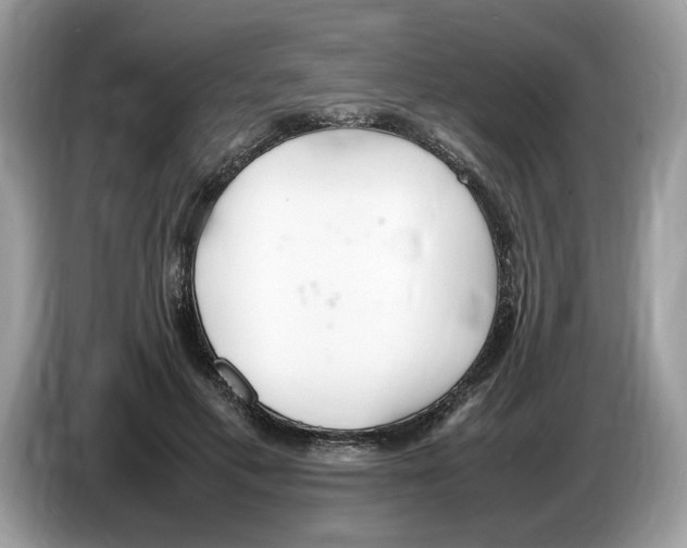 X0000086280597200704262038