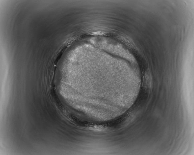 X0000086280598200704262038