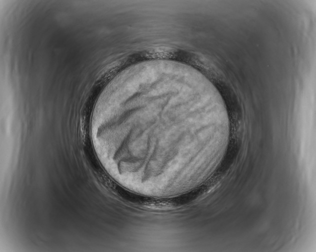X0000086280599200704262038