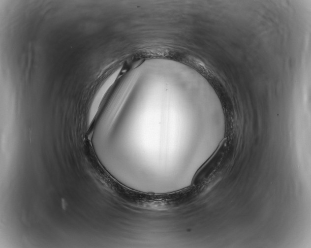 X0000086280600200704262038