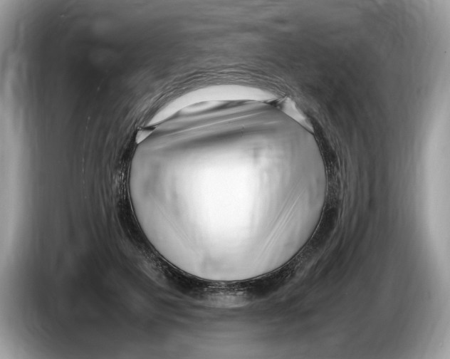 X0000086280601200704262038